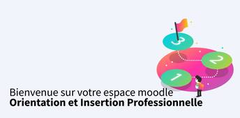 Présentation de l'espace Moodle Orientation Insertion Pro