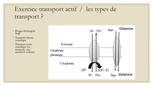 APPLICATIONS transports facilite et actif.mp4